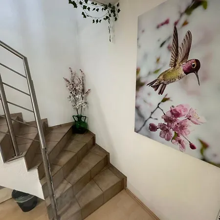 Business & Monteur - Modern Style & Comfort - Bodensee-oberschwaben Lägenhet Oberteuringen