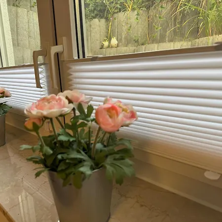 Business & Monteur - Modern Style & Comfort - Bodensee-oberschwaben * Oberteuringen