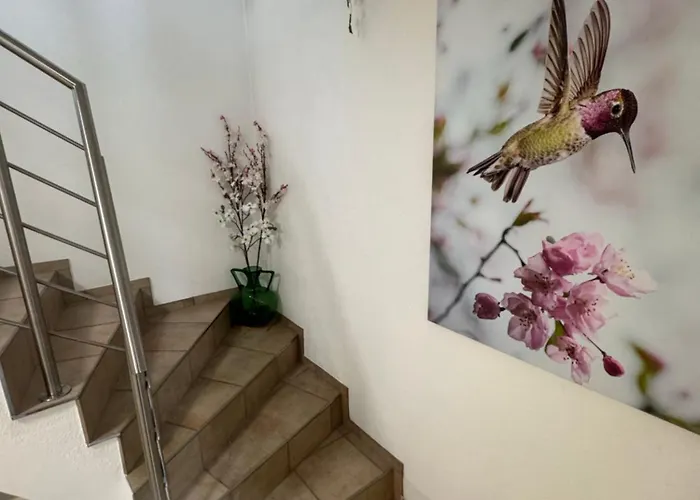 Business & Monteur - Modern Style & Comfort - Bodensee-oberschwaben Апартаменты Oberteuringen