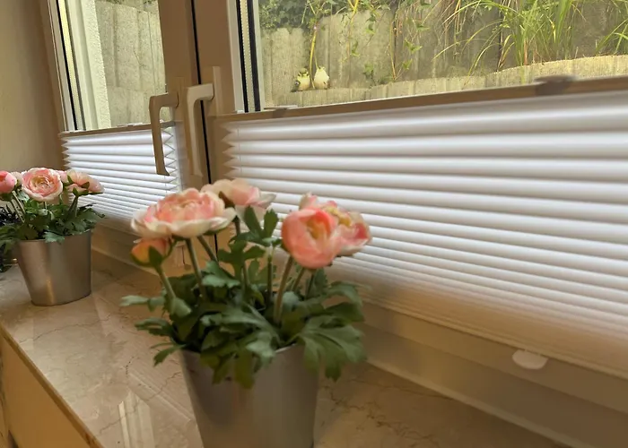 Business & Monteur - Modern Style & Comfort - Bodensee-oberschwaben * Oberteuringen